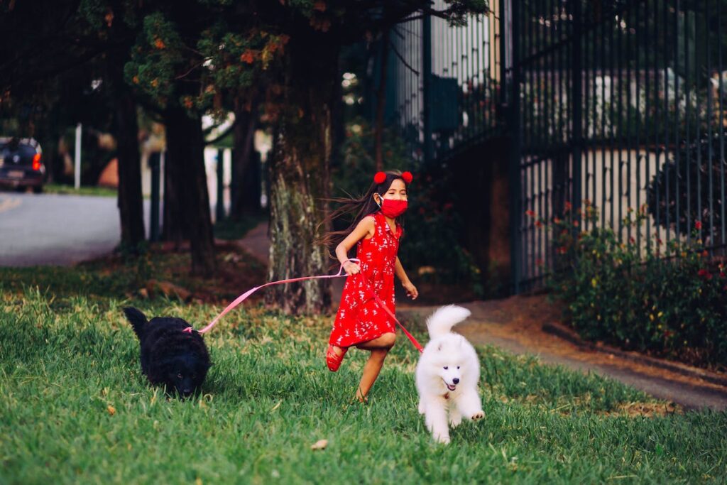 A young girl walking a neighbor's dogs as her part-time job