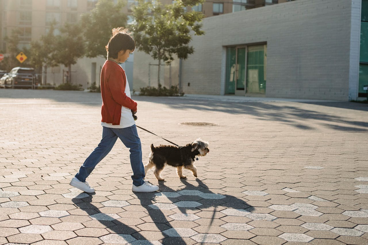 A kid walking a dog